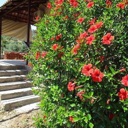 Countryside House Guest House Perachora Luaran gambar