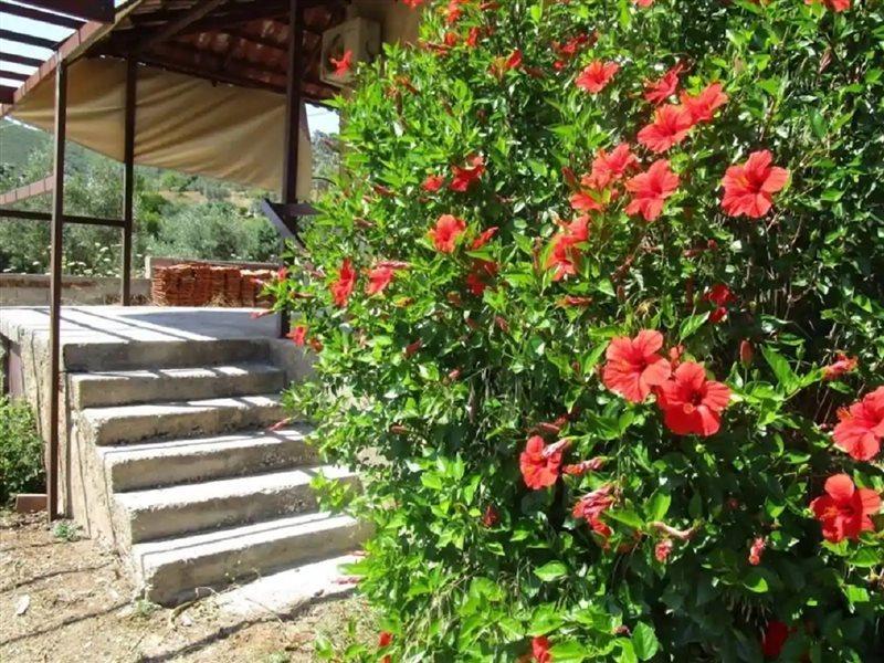 Countryside House Guest House Perachora Luaran gambar